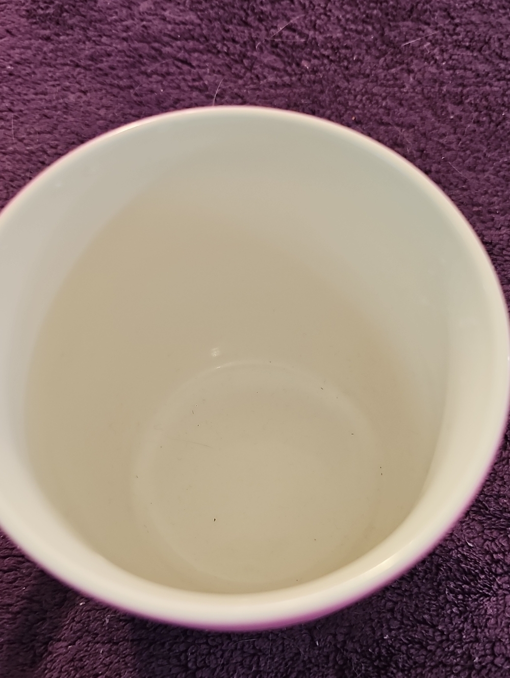 Cobwebs & Cauldrons Pink Haloween Mug - Picture 3 of 4